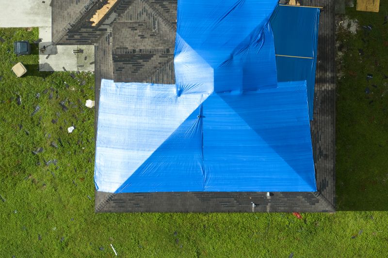 Roof Tarp Installation Services
