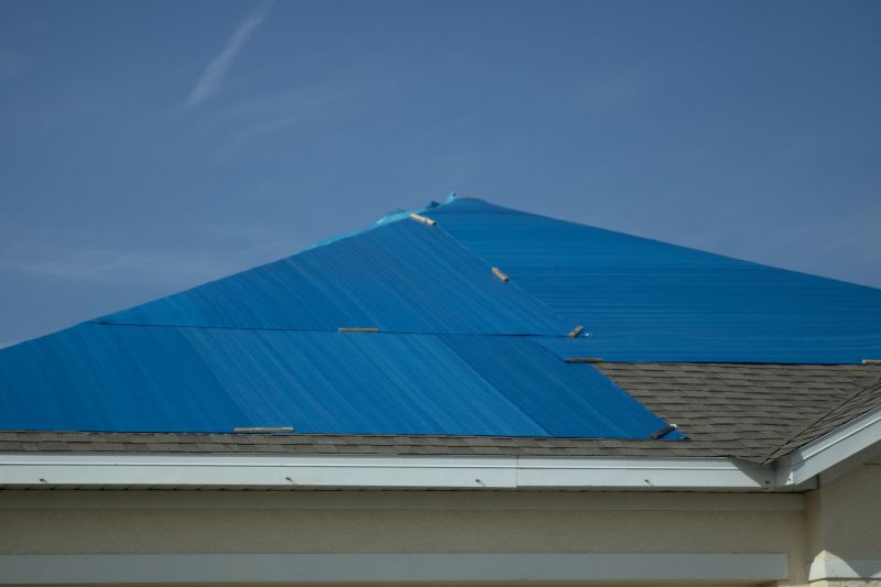 Roof Tarp Installation