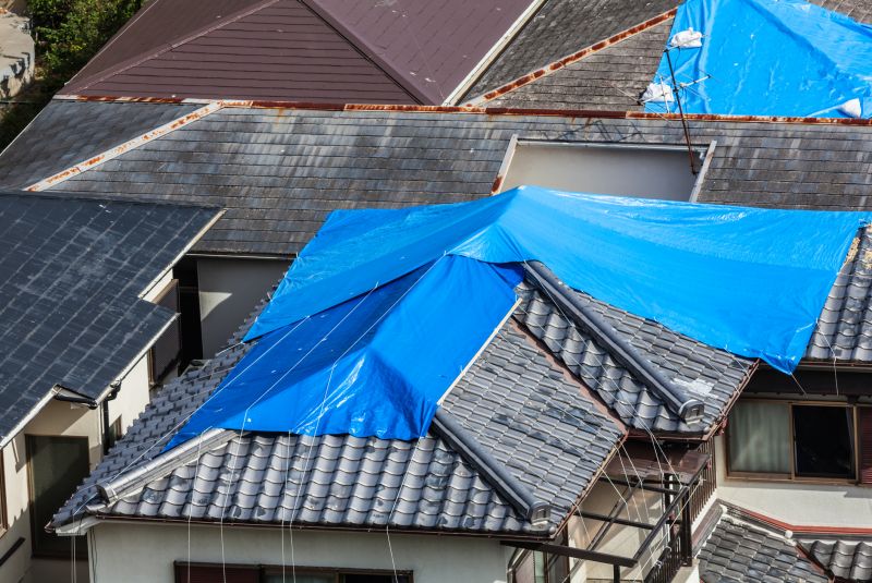 Weather-Resistant Tarp Materials